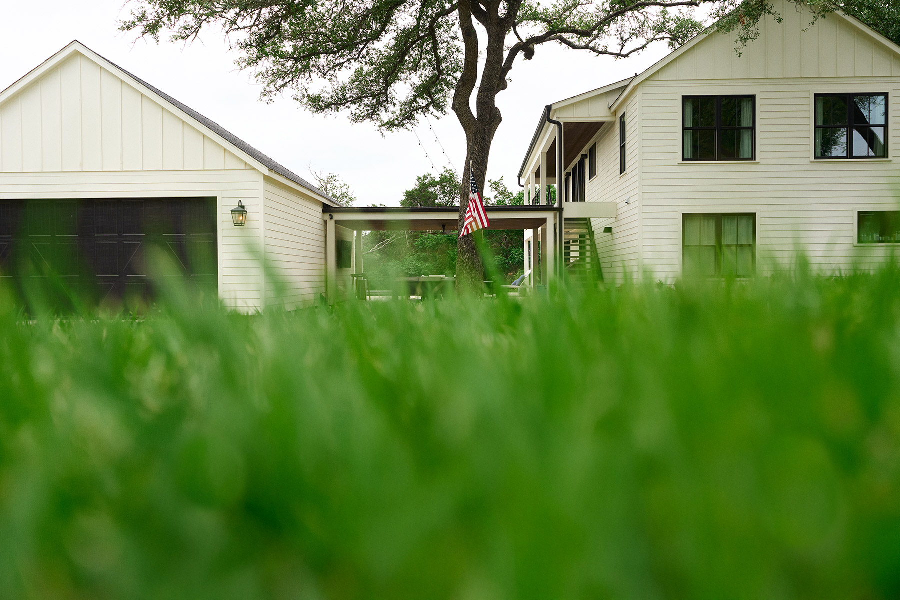 fresh cut grass blades and home